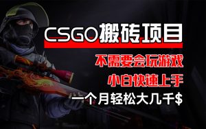 （12332期）CSGO 装备搬砖项目，操作简单，不需要会玩游戏，小白也能快速上手，一…-庄子聊项目
