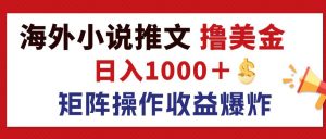 （12333期）最新海外小说推文撸美金，日入1000＋ 蓝海市场，矩阵放大收益爆炸-庄子聊项目