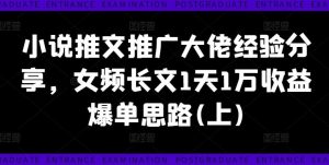 小说推文推广大佬经验分享,女频长文1天1万收益爆单思路(上)-庄子聊项目