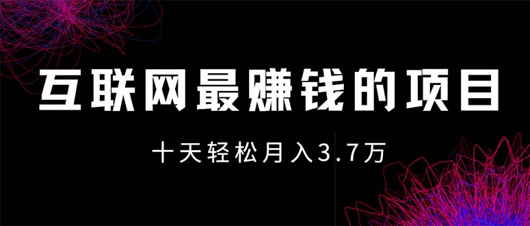 （12396期）互联网最赚钱的项目没有之一，轻松月入7万+，团队最新项目-庄子聊项目