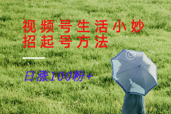 视频号生活小妙招分享赛道， 起号涨粉新方法，日涨100粉-庄子聊项目
