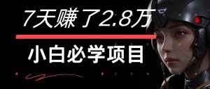 7天赚了2.8万!每单利润最少500+,轻松月入7万+小白有手就行-庄子聊项目