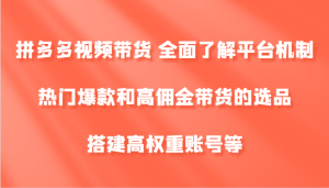拼多多视频带货 全面了解平台机制、热门爆款和高佣金带货的选品，搭建高权重账号等-庄子聊项目