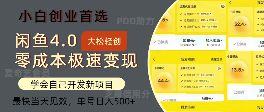 （12434期）闲鱼0成本极速变现项目，多种变现方式 单号日入500+最新玩法-庄子聊项目