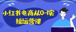 小红书电商从0-1实操运营课，小红书手机实操小红书/IP和私域课/小红书电商电脑实操板块等-庄子聊项目