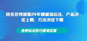 拼多多特训营24年爆破流玩法，产品决定上限，方法决定下限，各种玩法技巧落地实操-庄子聊项目