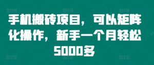手机搬砖项目，可以矩阵化操作，新手一个月轻松5000多-庄子聊项目