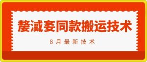 抖音96万粉丝账号【嫠㵄㚣】同款搬运技术-庄子聊项目