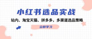 小红书选品实战:站内、淘宝天猫、拼多多,多渠道选品策略-庄子聊项目