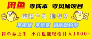 闲鱼 零成本 零风险项目 虚拟产品秒发货 不囤货 不垫资 超高复购率  简…-庄子聊项目