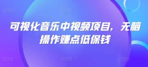 可视化音乐中视频项目,无脑操作赚点低保钱-庄子聊项目