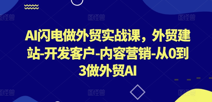 AI闪电做外贸实战课，​外贸建站-开发客户-内容营销-从0到3做外贸AI(更新)-庄子聊项目