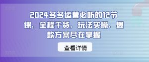 2024多多运营必听的12节课,全程干货,玩法实操,爆款方案尽在掌握-庄子聊项目