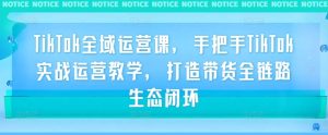 TikTok全域运营课,手把手TikTok实战运营教学,打造带货全链路生态闭环-庄子聊项目