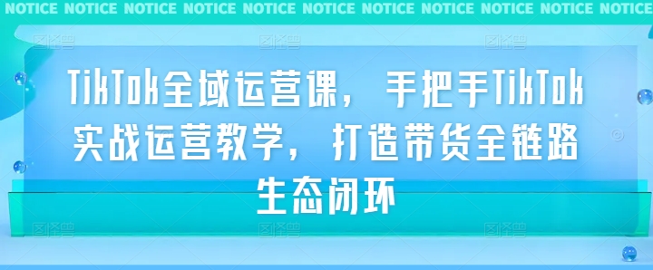 TikTok全域运营课，手把手TikTok实战运营教学，打造带货全链路生态闭环-庄子聊项目