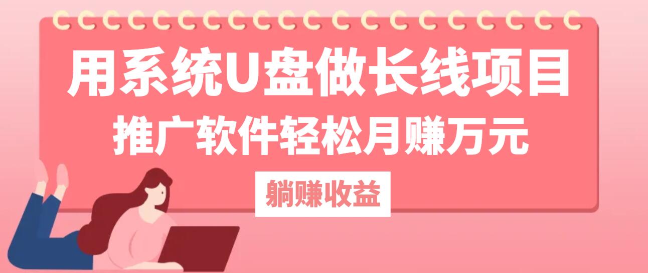 用系统U盘做长线项目，推广软件轻松月赚万元(附制作教程+软件-庄子聊项目