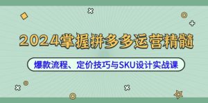 2024掌握拼多多运营精髓：爆款流程、定价技巧与SKU设计实战课-庄子聊项目