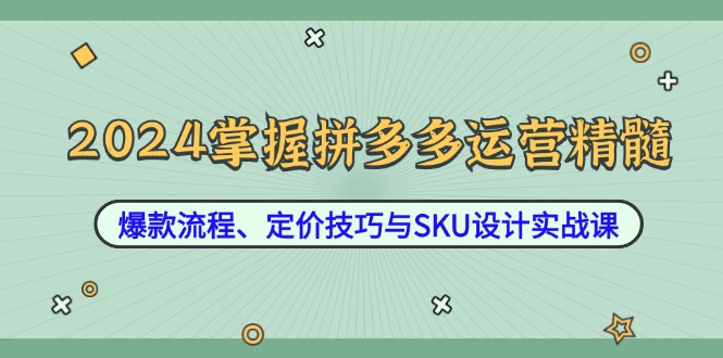 2024掌握拼多多运营精髓：爆款流程、定价技巧与SKU设计实战课-庄子聊项目