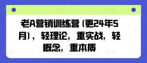 老A营销训练营(更24年9月),轻理论,重实战,轻概念,重本质-庄子聊项目