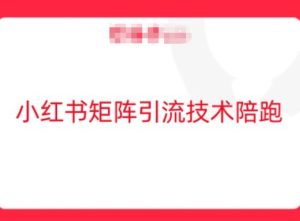 小红书矩阵引流技术,教大家玩转小红书流量-庄子聊项目