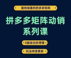 拼多多矩阵动销系列课,能持续盈利的多多矩阵,0基础也听得懂,玩法持续更新-庄子聊项目