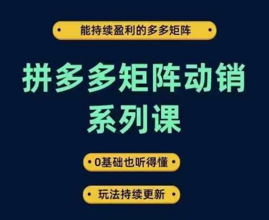 拼多多矩阵动销系列课，能持续盈利的多多矩阵，0基础也听得懂，玩法持续更新-庄子聊项目