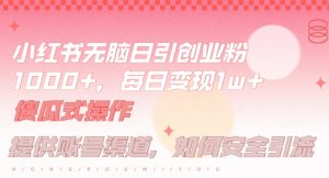 小红书无脑每日引流创业粉500+,小白每天只花半小时,躺赚长尾收益【揭秘】-庄子聊项目