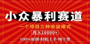 视频号最新爆火赛道,三种可收益模式,0粉新号条条原创条条热门 日入1000+-庄子聊项目