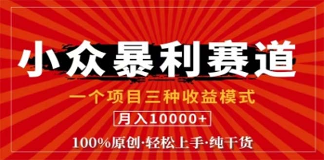 视频号最新爆火赛道，三种可收益模式，0粉新号条条原创条条热门 日入1000+-庄子聊项目