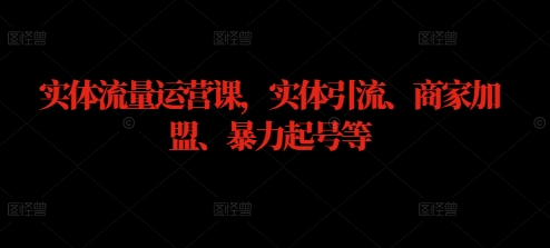 实体流量运营课，实体引流、商家加盟、暴力起号等-庄子聊项目