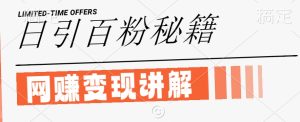 最新闲鱼引流创业粉,日引100+,网创项目虚变现讲解【揭秘】-庄子聊项目