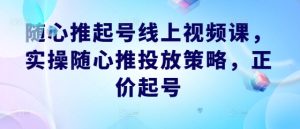 随心推起号线上视频课,实操随心推投放策略,正价起号-庄子聊项目