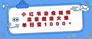 小红书治愈视频,流量超级火爆,单日变现1000+-庄子聊项目