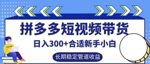 拼多多短视频带货日入300+,实操账户展示看就能学会-庄子聊项目