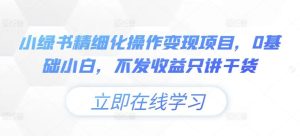 小绿书精细化操作变现项目,0基础小白,不发收益只讲干货-庄子聊项目