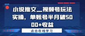 小说推文—视频号玩法实操,单账号半月破5000+收益-庄子聊项目