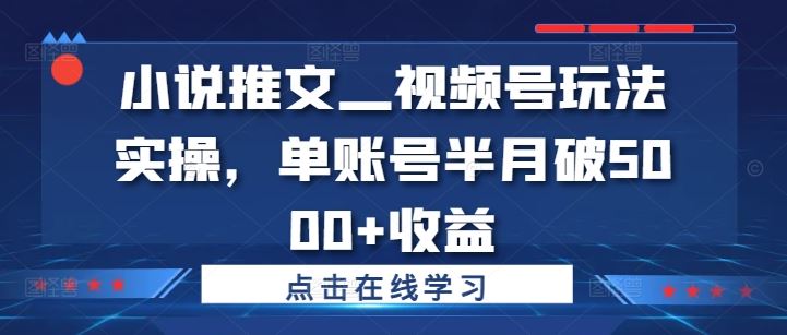 小说推文—视频号玩法实操，单账号半月破5000+收益-庄子聊项目
