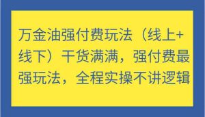 万金油强付费玩法(线上+线下)干货满满,强付费最强玩法,全程实操不讲逻辑-庄子聊项目