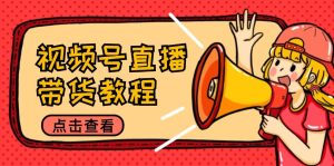 视频号直播带货教程:选品思路与话术拆解/掌握多种带货套路/提升直播效果-庄子聊项目