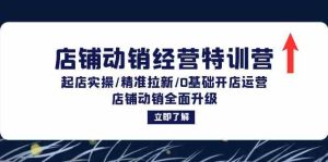店铺动销经营特训营:起店实操/精准拉新/0基础开店运营/店铺动销全面升级-庄子聊项目