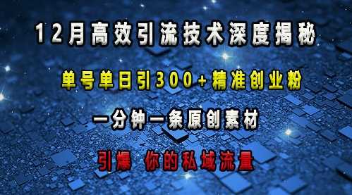 最新高效引流技术深度揭秘 ，单号单日引300+精准创业粉，一分钟一条原创素材，引爆你的私域流量-庄子聊项目