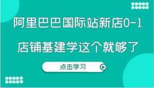 阿里巴巴国际站新店0-1，个人实践实操录制从0-1基建，店铺基建学这个就够了-庄子聊项目