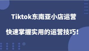Tiktok东南亚小店运营，快速掌握实用的运营技巧！-庄子聊项目