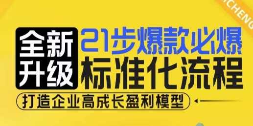 21步爆款必爆标准化流程，全新升级，打造企业高成长盈利模型-庄子聊项目