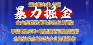 (13675期)2025暴力掘金项目,想过肥年必看!-庄子聊项目