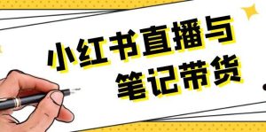 小红书直播与笔记带货:选品、上架、笔记写作、视频剪辑及直播话术等-庄子聊项目
