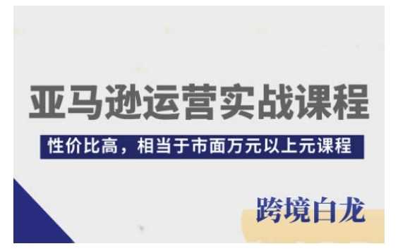 亚马逊运营实战课程，亚马逊从入门到精通，性价比高，相当于市面万元以上元课程-庄子聊项目