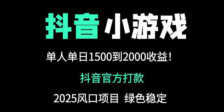 抖音官方小游戏2025全网最新玩法，暴利赚钱项目，单机日入2000+-庄子聊项目