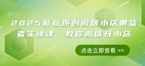 2025新版原创微信小店带货者实操课，教你微信开小店-庄子聊项目