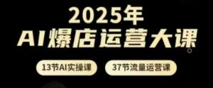 2025年AI爆店运营大课,13节AI实操课+37节流量运营课-庄子聊项目